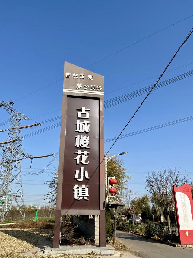 春櫻如夢,古城樱花小鎮的粉色序曲 春櫻如夢,古城樱花小鎮的粉色序曲