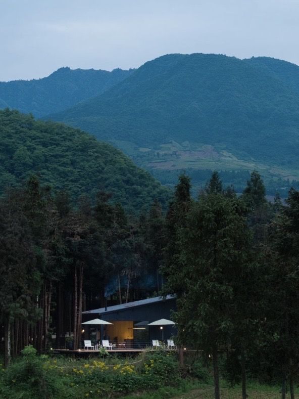 樂山秘境木屋，遭遇100%山野