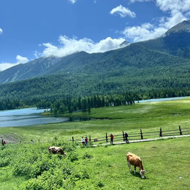 新疆北疆，七天六晚旅遊攻略，預算7000元，讓你開心又省心