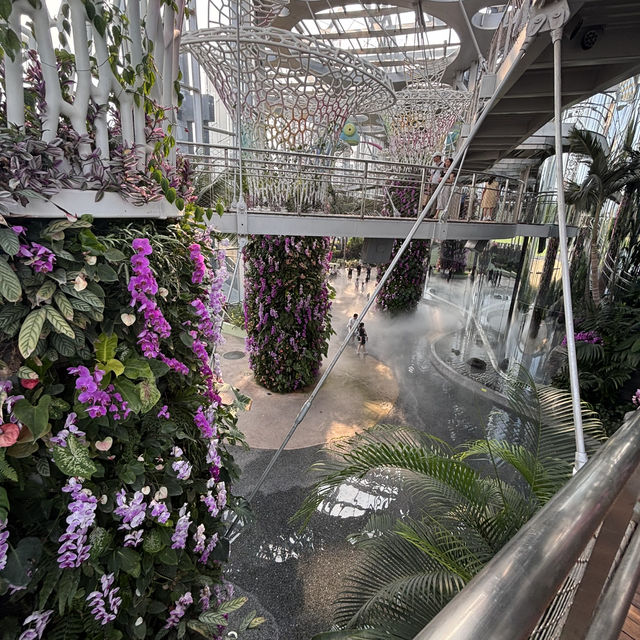 【上海】上海温室花園🪴｜写真映え×自然癒し×屋内観光にぴったり！