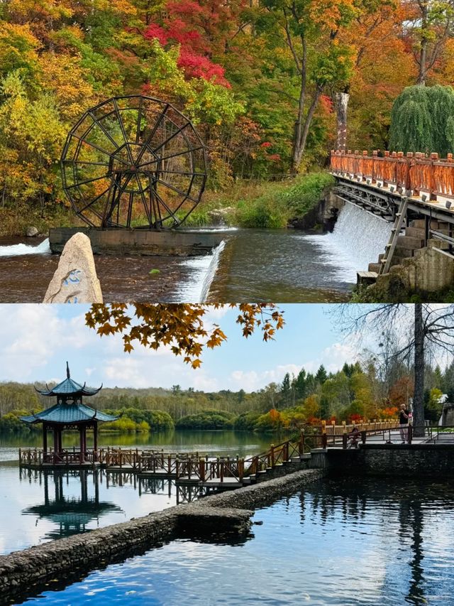 露水河國家森林公園太美啦