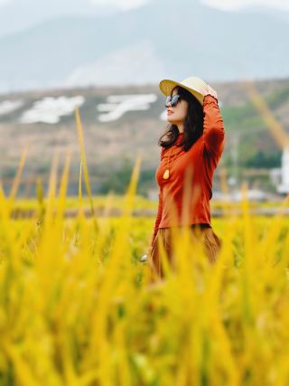 A hidden gem beneath the Great Wall, stepping into a northern rice field fairy tale