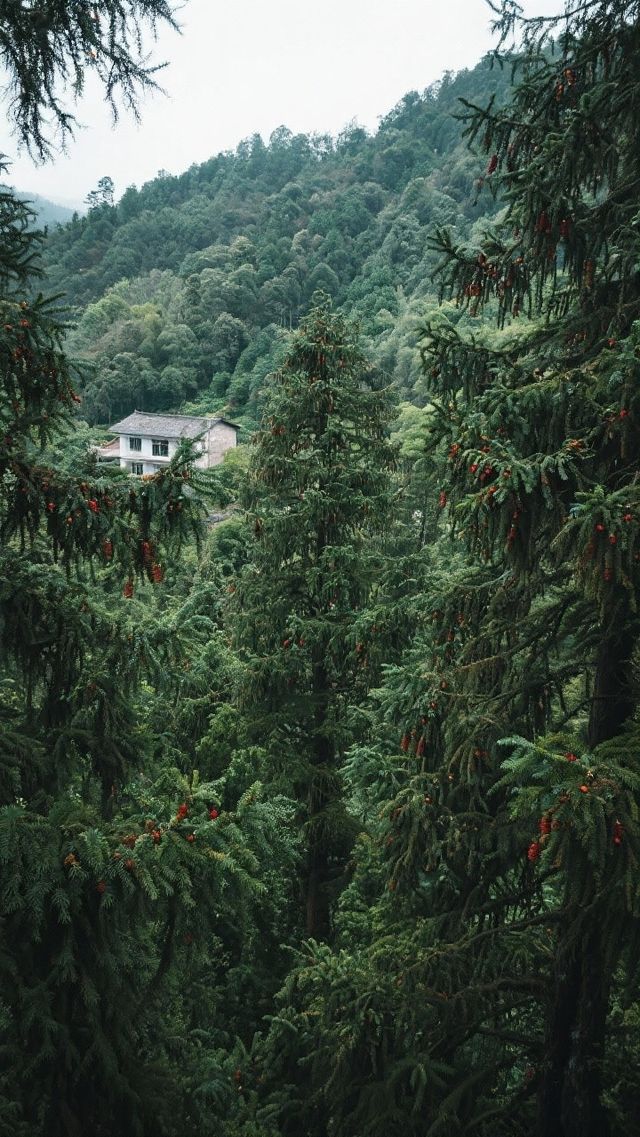 福建張角村3天2夜旅行攻略，預算3000