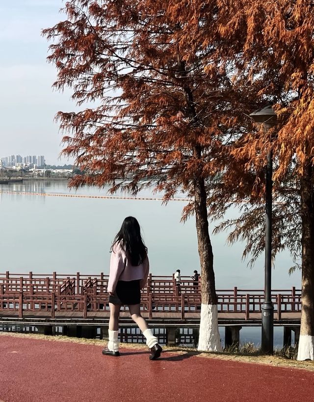 長沙松雅湖｜天涼好個秋，絕美濕地公園攻略
