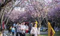 品婁底文韻 宿赫柏雅境