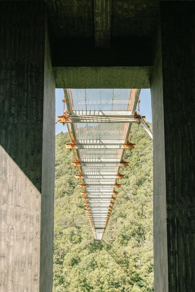 曲靖古建秋色絕美