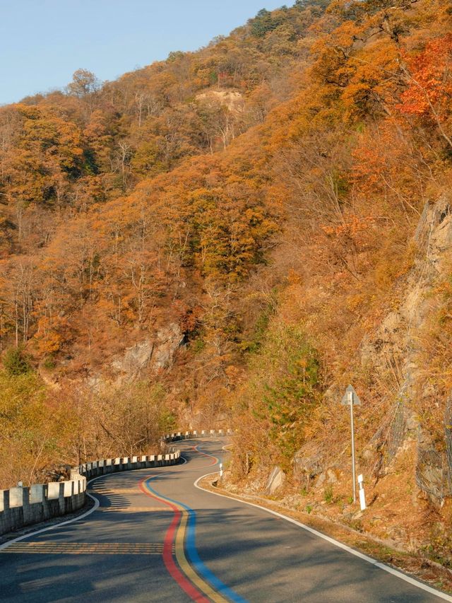 武漢2h直達！闖入大別山油畫般的秋天