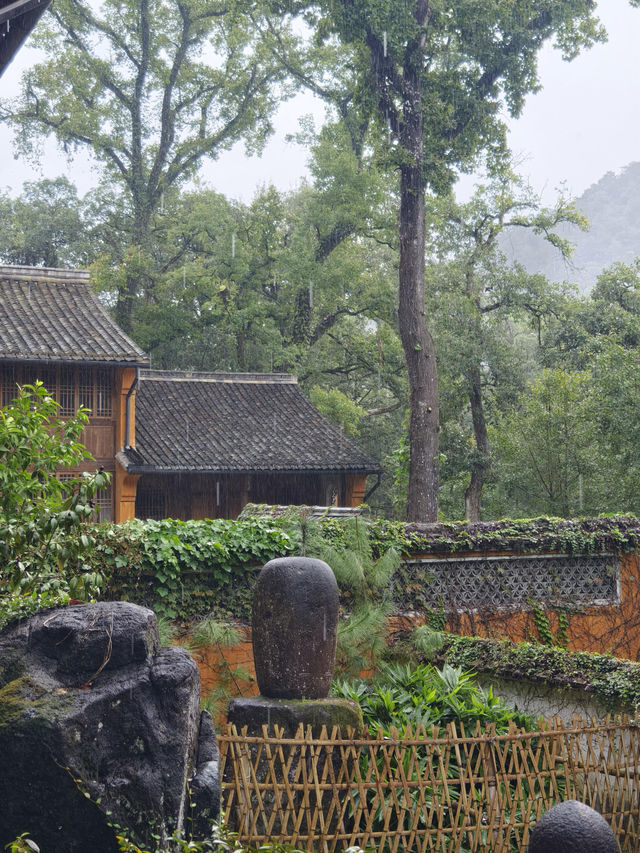 天台山秋意爆表！國清寺秋收盛景等你打卡