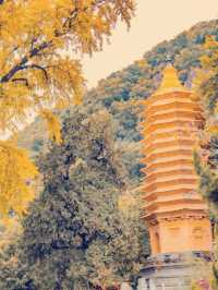北京1.5h瞬移！乾隆私藏的秋日仙山，再不去紅葉就謝了！