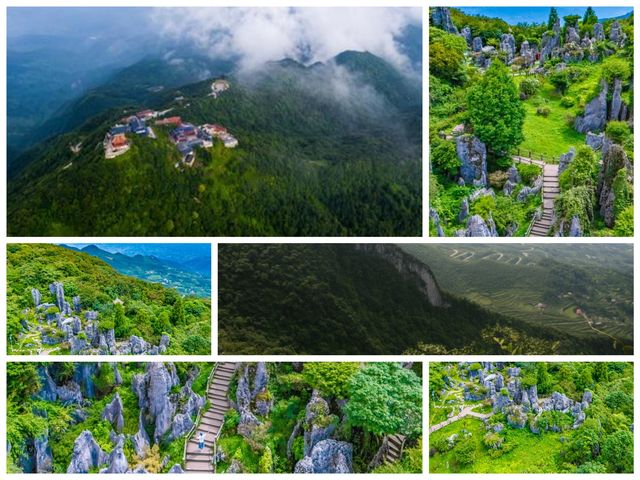 帶娃爬華蓥山 帶娃爬華蓥山