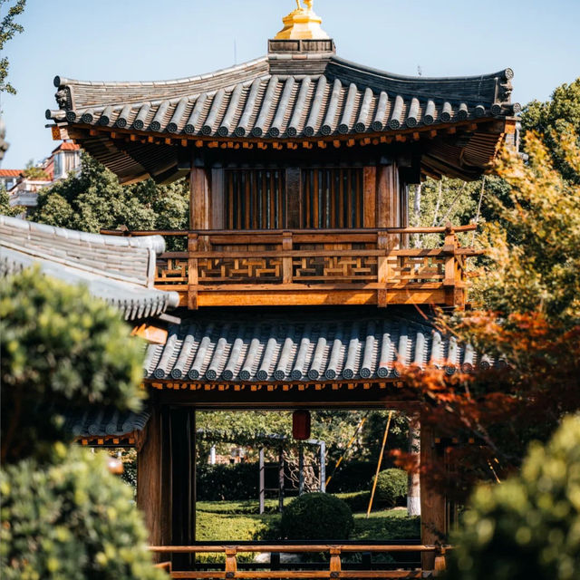 ๐์ํ์ด์ ํ ๋น๋๋ผ ํ ์ ์, ๊ฐ์์ ์๋ฒฝํ ์ ์ทจ ๐ฏ ๐์ํ์ด์ ํ ๋น๋๋ผ ํ ์ ์, ๊ฐ์์ ์๋ฒฝํ ์ ์ทจ ๐ฏ