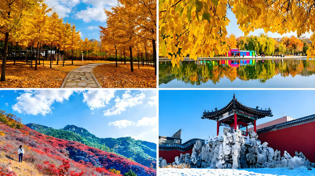 大連-丹東-瀋陽帶娃嗨玩必看攻略 大連-丹東-瀋陽帶娃嗨玩必看攻略