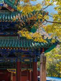 五老峰·秋|運城「雲端金脊」上線!