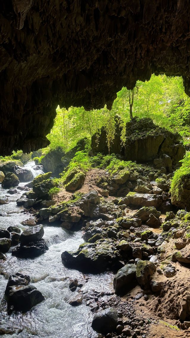 中轉站裡的詩意棲居   何必奔波？「畫山雲野」是桂西南之旅的完美大本營  厭倦了拖著行李在景點間奔波