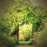 悉尼近郊絕美秘境封神了！