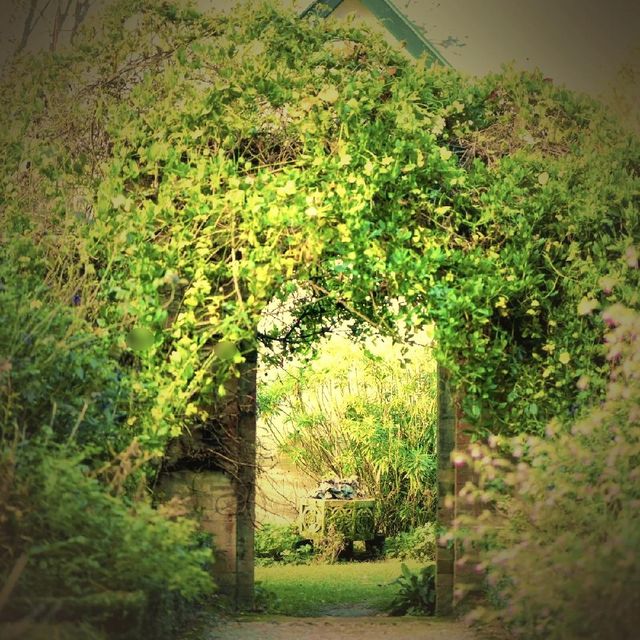 悉尼近郊絕美秘境封神了！