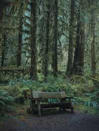 西雅圖兩日遊暴走指南