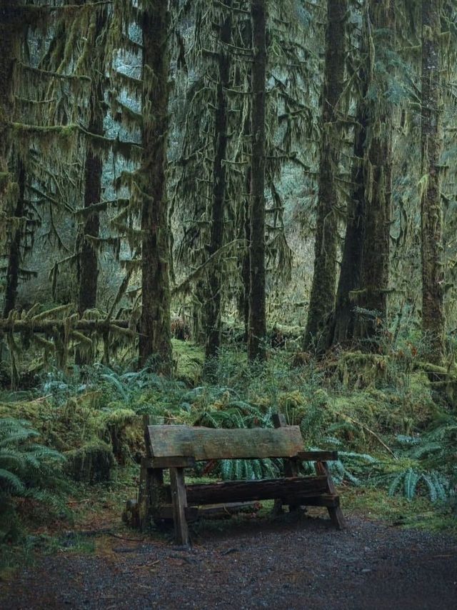 西雅圖兩日遊暴走指南