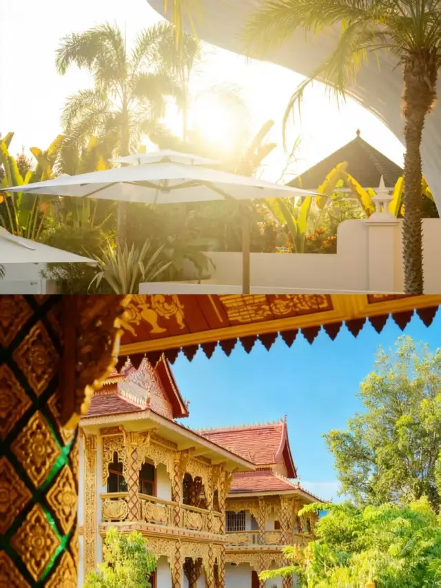 First time visiting Xishuangbanna! Copy this 3-day itinerary directly, full of tropical vibes