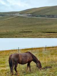 郭莽濕地,藏喺甘肅嘅夢幻仙境