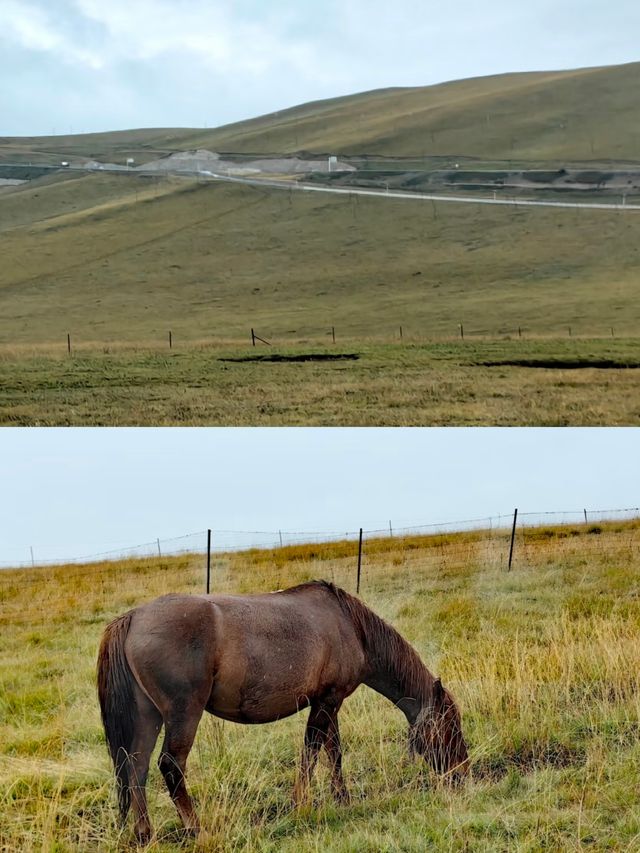郭莽濕地,藏喺甘肅嘅夢幻仙境 郭莽濕地,藏喺甘肅嘅夢幻仙境