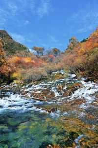 川西小眾秘境｜松坪溝的秋天美到窒息