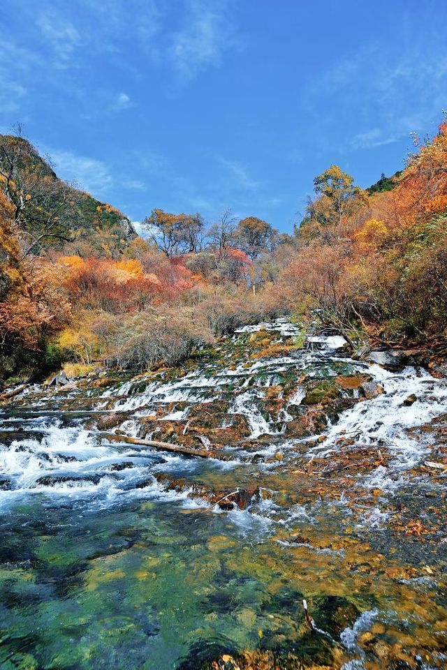 川西小眾秘境｜松坪溝的秋天美到窒息