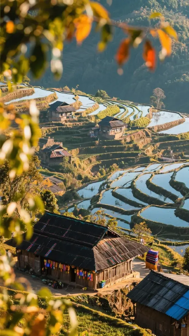 Three days and two nights in Yuanyang in November, exploring the most beautiful curves on Earth