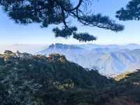 聽我的，不費腿看美景