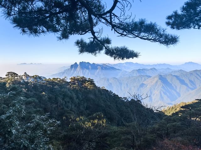 聽我的，不費腿看美景