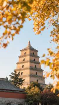 古城西安賞秋旅遊攻略