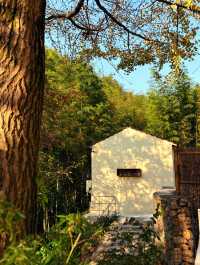 不慌不忙與秋風最後的浪漫