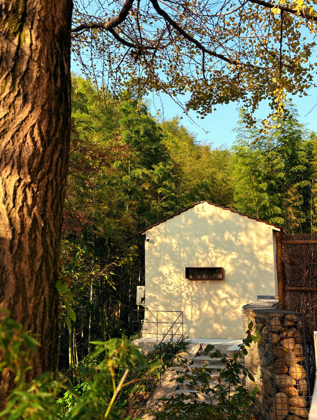 不慌不忙與秋風最後的浪漫