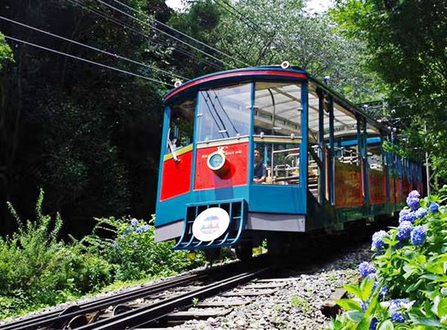 六甲山：神戶之巔的自然、音樂與夜景