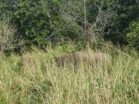 斯里蘭卡，更適合學生黨的高性價比之選！