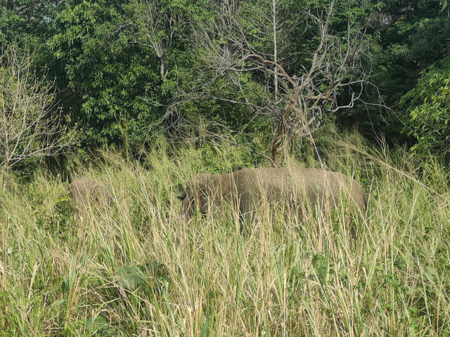 斯里蘭卡，更適合學生黨的高性價比之選！