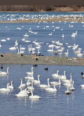 3일 2박 핵심 일정 (원·호·관·맛 4중주)