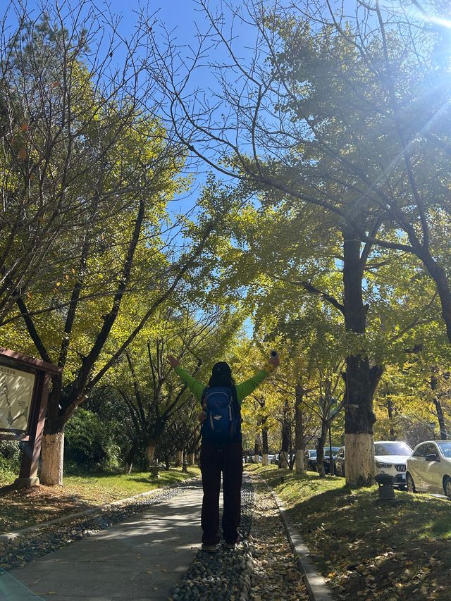 文成安福寺 文成安福寺