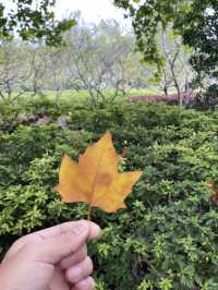 窮遊南京3天2夜極致攻略！3000元玩轉金陵城