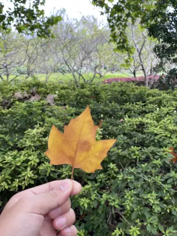 窮遊南京3天2夜極致攻略！3000元玩轉金陵城