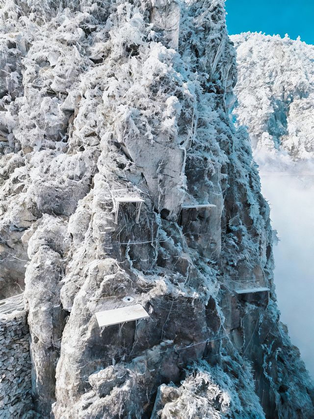 【莽山冬季仙境｜2天1夜霧淞溫泉全攻略！