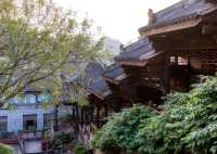 重慶銅梁人文攻略龍鱗裡的千年密碼等你來破譯