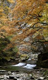 陝西秋日封神之境！黎坪紅葉美到失語