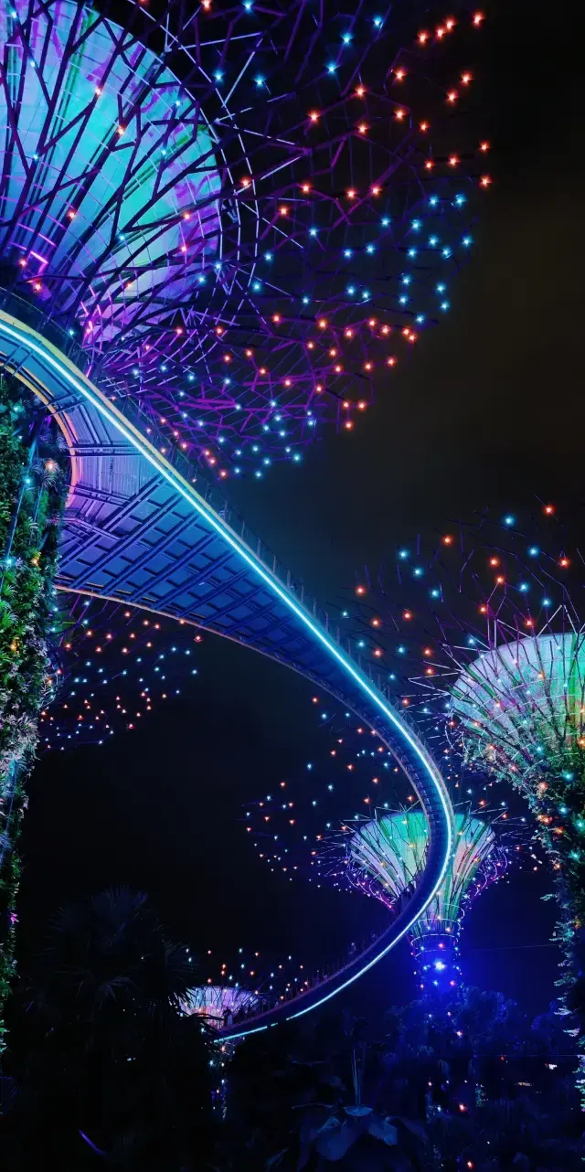 來新加坡一定要做的一件事