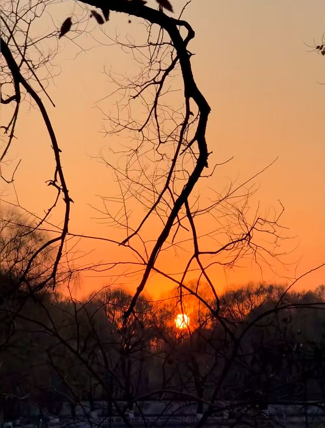 瀋陽冬日限定！北陵日落把皇家園林染成暖金