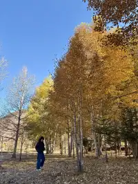 佛山秋假,帶娃去川西看不一樣的秋