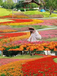 深圳地鐵直達的彩虹花海!這個公園太寶藏