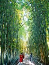 大理4天3晚遊，說說我的真實感受和建議