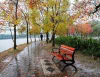 獨享絕美秋景!南京植物園月牙堤紅葉雨景打卡攻略