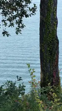 這裡不是瑞士！這裡是千島湖植物園
